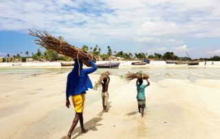 mozambique tours and safaris3