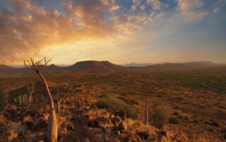 namibia tours and safaris4
